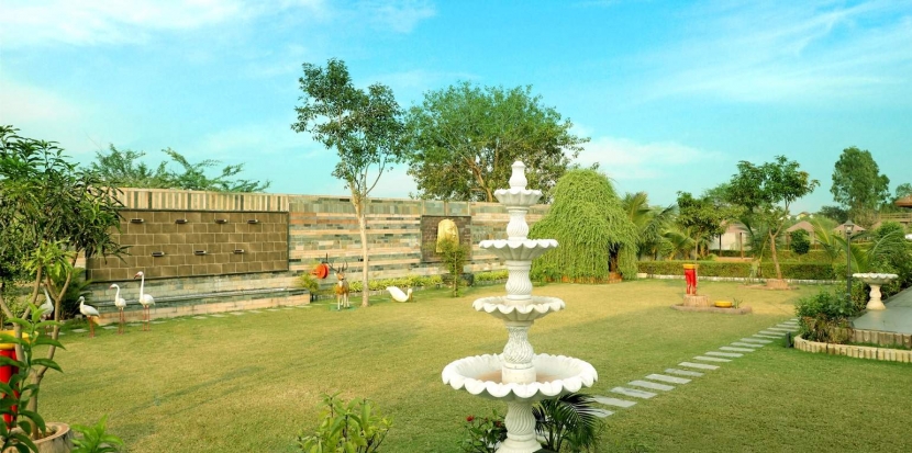 Lawn