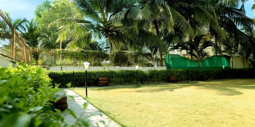 Lawn