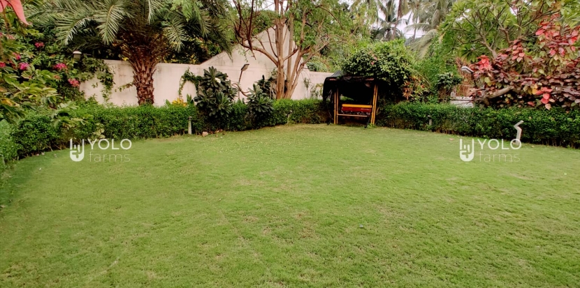 Lawn