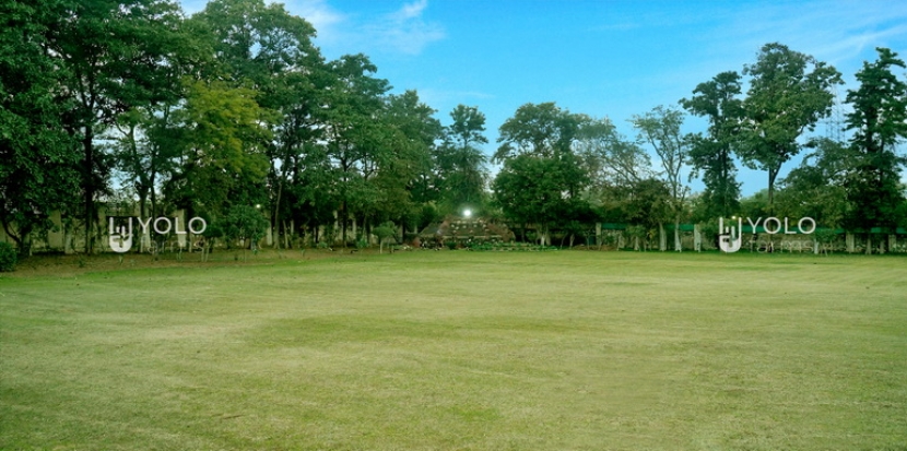 Lawn