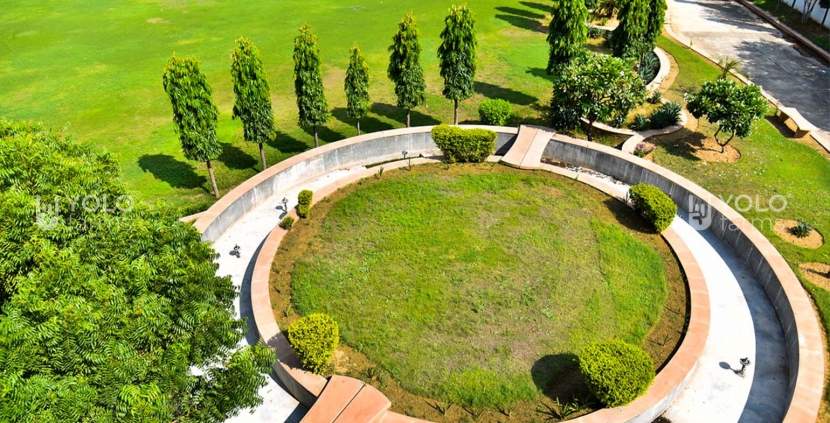 Lawn