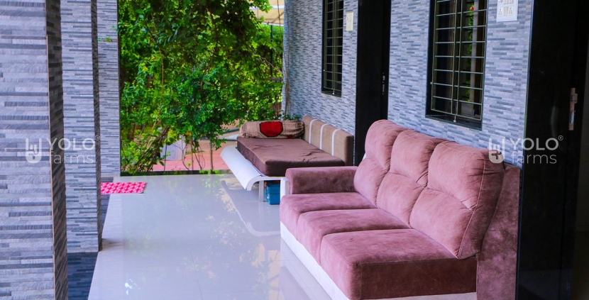 Lawn
