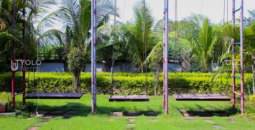 Lawn